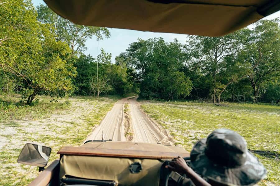 Full-Day Pilanesberg Safari from Sun City - Pickup, Transit, and the Morning Start (Where Time Can Slip)
