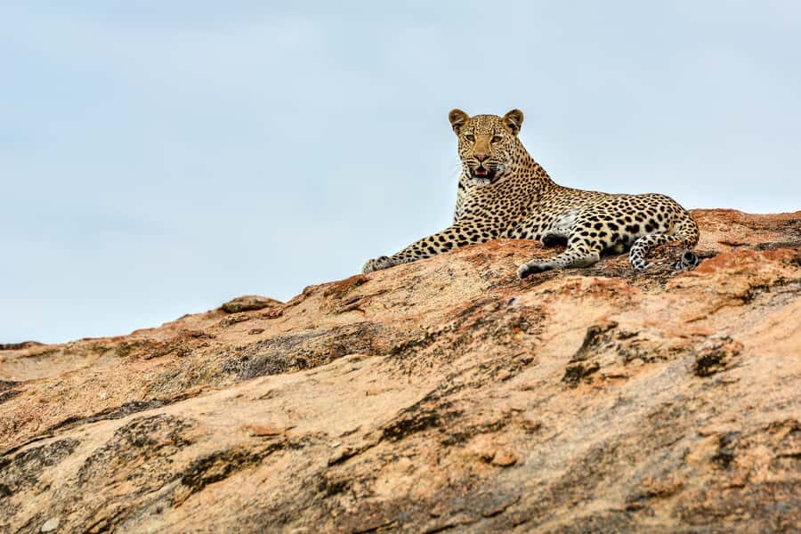 Full-Day Private Big 5 Safari in Kruger National Park - Key Highlights That Make This Kruger Day Work