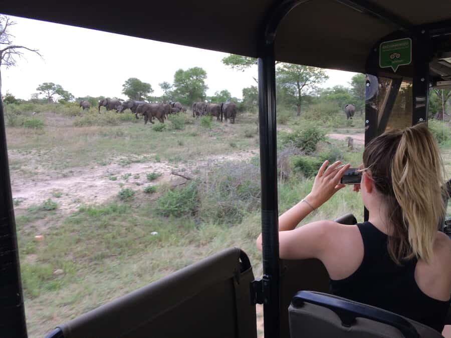Full-Day Private Big 5 Safari in Kruger National Park - Early Pick-Up and Entering Kruger Before the Rush