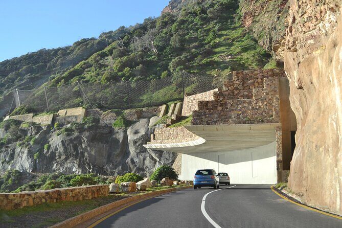 Full Day Private Cape Peninsula and Boulders Beach Tour - Cape Peninsula in One Day: what this route really delivers