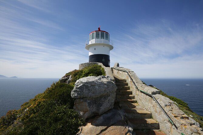 Full Day Private Cape Peninsula and Boulders Beach Tour - Hout Bay and the Seal Island boat segment