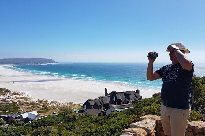 Full-Day Private Cape Peninsula Tour - Hout Bay: a working harbor stop, not a postcard fantasy