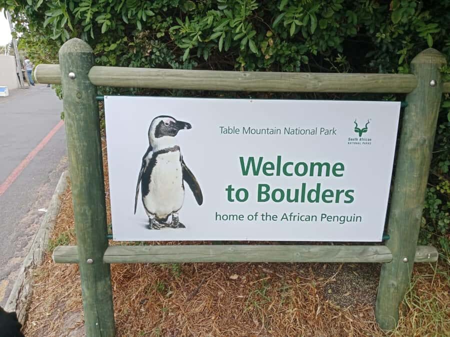 Full-Day Private Excursion: Cape of Good Hope and Penguins - Cape Point National Park and the Old Lighthouse: the big viewpoint payoff