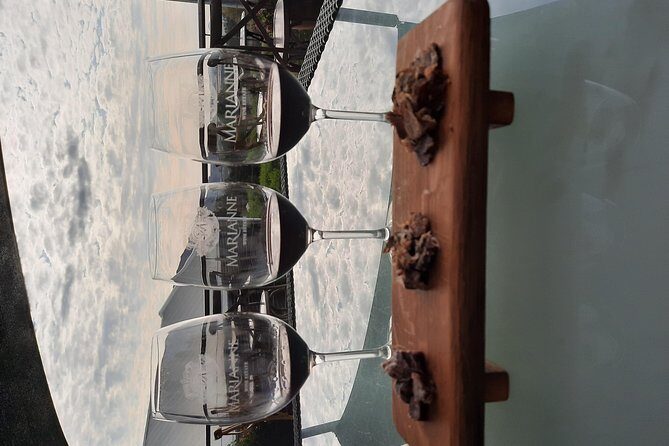Full-Day Private Guided Wine Tasting Tour of Cape Wineries - Price and Value: What Your $125.31 Covers