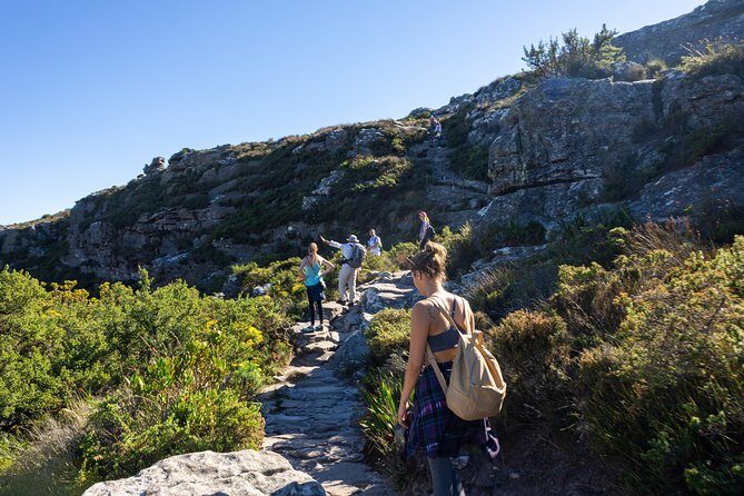Full Day Private Hiking Table Mountain & City - Starting at 7:00am: Your Pickup, Your Pace, Your Weather Reality