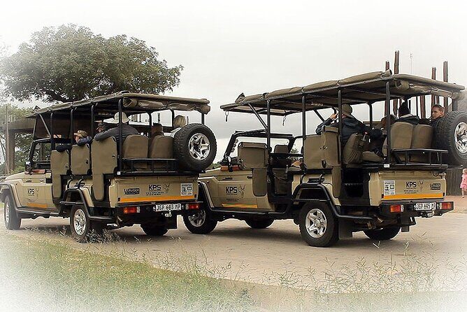 Full Day Private Kruger Park Safari - Your open-top 4x4 and Heine-level guidance make the difference