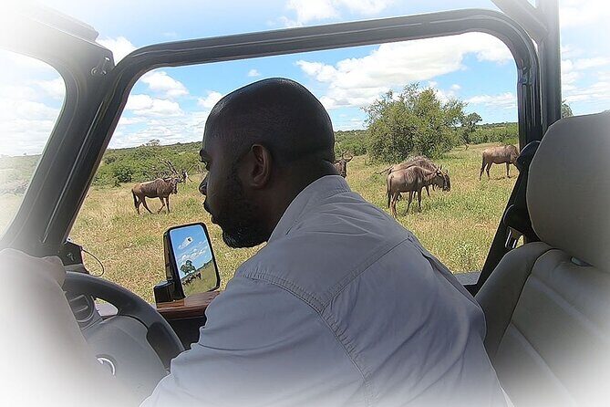 Full Day Private Kruger Park Safari - Price and value: what $143.78 really buys you