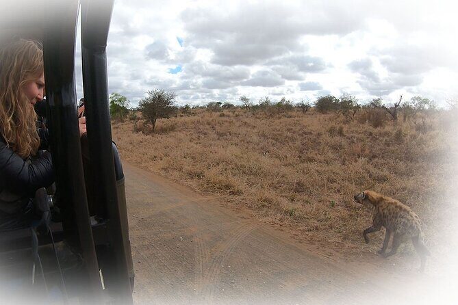 Full Day Private Kruger Park Safari - Should you book? My take on the decision