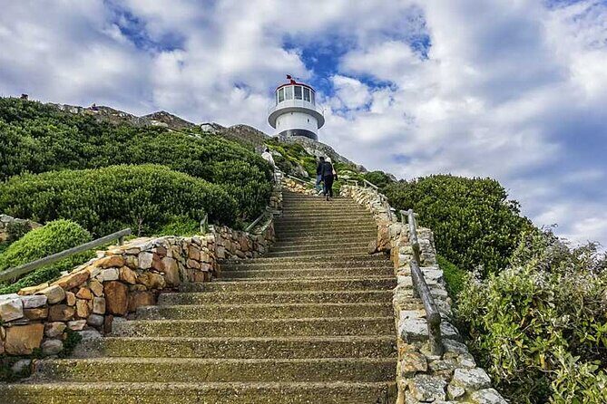 Full Day Private Tour of the Cape Peninsula and Boulders Penguins - Private transport, real comfort: how the day runs