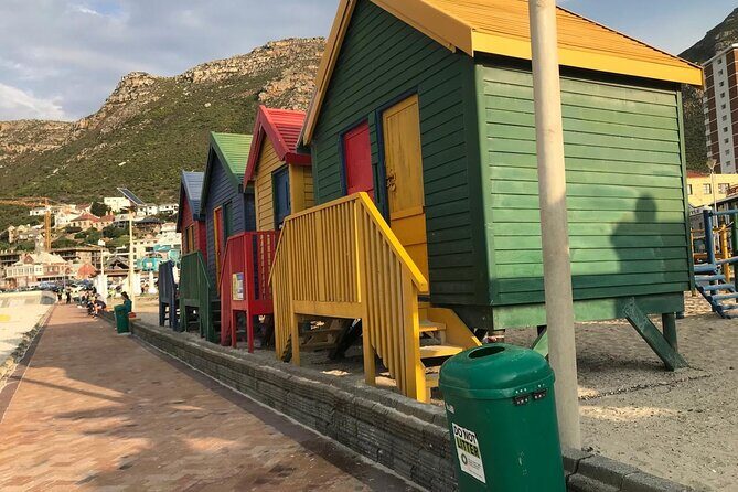 Full Day Private Tour of the Cape Peninsula and Boulders Penguins - Chapman’s Peak Drive: the world-class road with tolls included