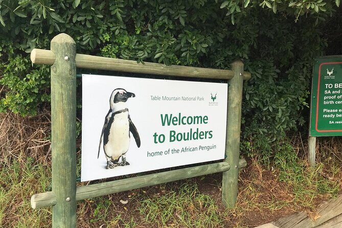 Full Day Private Tour of the Cape Peninsula and Boulders Penguins - Simon’s Town: naval village charm with a museum stop