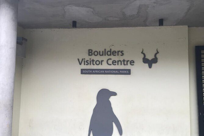 Full Day Private Tour of the Cape Peninsula and Boulders Penguins - Food, toilets, and timing: how to make the day feel easy