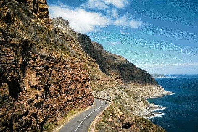 Full Day Private Tour of the Cape Peninsula and Boulders Penguins - Hout Bay and the Seal Island option