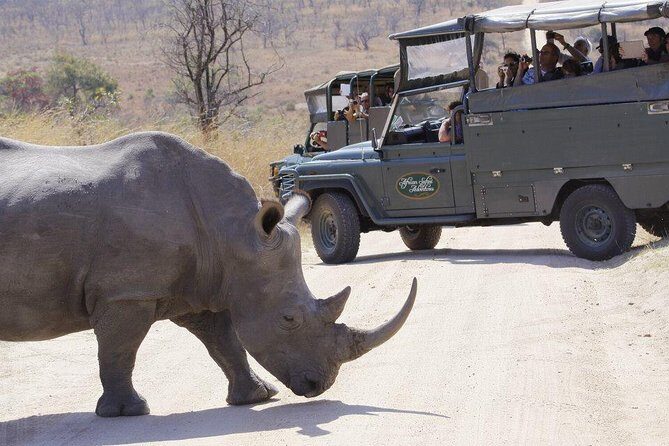 Full Day Safari in the Kruger National Park from Hazyview - Who This Safari Is Best For (and Who Might Want Something Else)