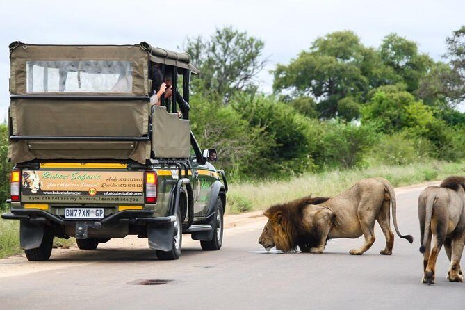 Full Day Safari - Kruger National Park - Your day inside Kruger: what the long game-drive really means