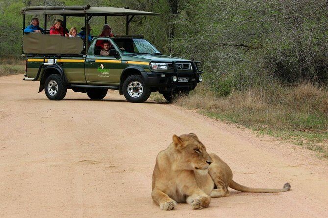 Full Day Safari - Kruger National Park - Group size reality: smaller than most, but check the numbers