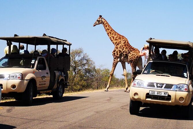 Full Day Safari Shared Tour at Kruger National Park - Entering Kruger National Park: What a Shared Safari Gets You