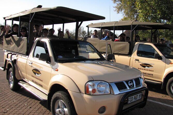 Full Day Safari Shared Tour at Kruger National Park - Who This Safari Fits Best (And Who Might Prefer Something Else)