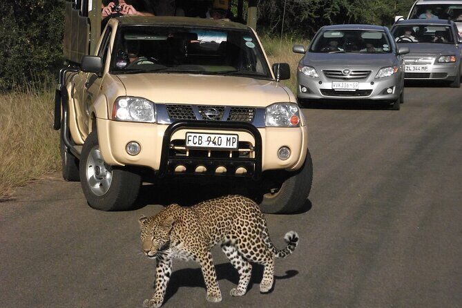 Full Day Safari Shared Tour at Kruger National Park - The 5:30 am Start: Why It Matters in Kruger
