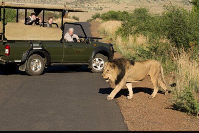 Full Day Safari Tour of Pilanesberg National Park, Open Jeep experience - Should you book this Pilanesberg full-day open-jeep tour?