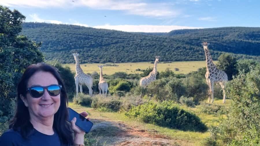 Full-Day Schotia Game Reserve & Giraffe Walk (Open 4x4) - Getting to Schotia: pickup timing, the drive, and what matters