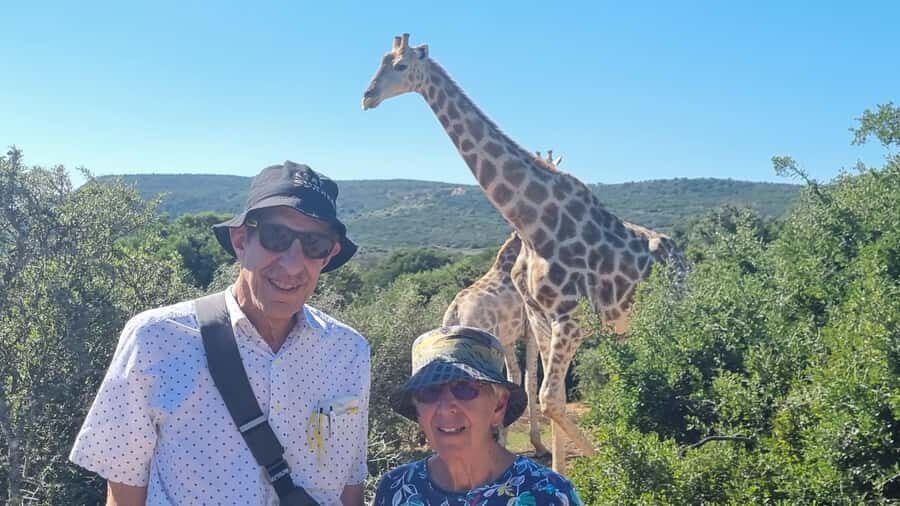 Full-Day Schotia Game Reserve & Giraffe Walk (Open 4x4) - The Schotia Game Drive (4 hours): where the Big 5 chances come from