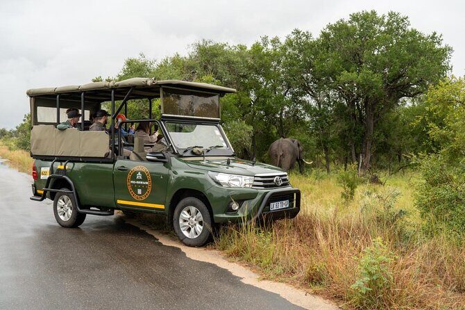 Full-Day Shared Kruger National Park Safari from Hoedspruit - Pickup, timing, and group size: the nuts and bolts