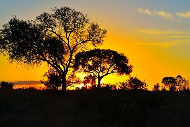 Full-Day Shared Kruger National Park Safari from Hoedspruit - Should you book? My take