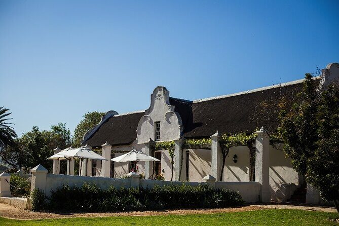 Full Day Small Group Wine Tour Cape Town and Stellenbosch - Why This Stellenbosch Tour Feels Like a Wine Day, Not a Bus Ride