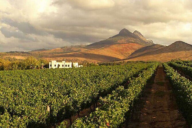 Full Day Stellenbosch Paarl and Franschhoek Private Wine Tour - The drive back to Cape Town: a final story loop