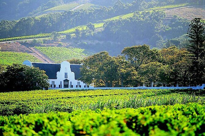 Full Day Stellenbosch Paarl and Franschhoek Private Wine Tour - Price and value: what you’re really paying for