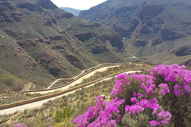 Full-Day Swartberg Mountain PRIVATE Tour (including lunch and transfers) - Lunch, timing, and how the day stays comfortable