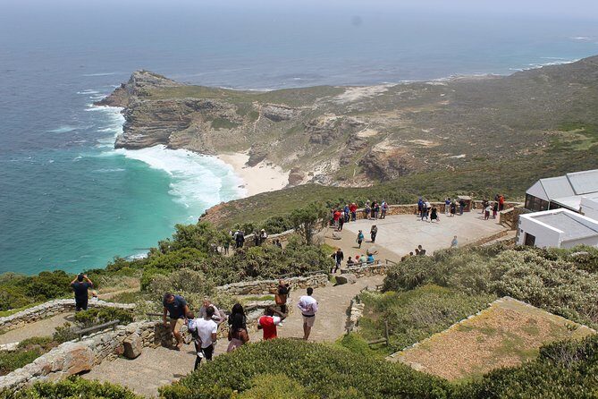 Full-Day Tour to Cape Point and Cape of Good Hope - The Big Picture: What This Day Is Really Good For