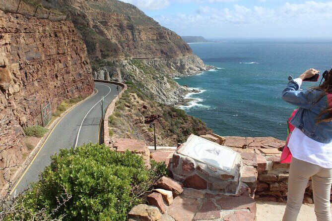 Full-Day Tour to Cape Point and Cape of Good Hope - Stop 2: Hout Bay Harbor Life, Coffee Stops, and Seal Island Time