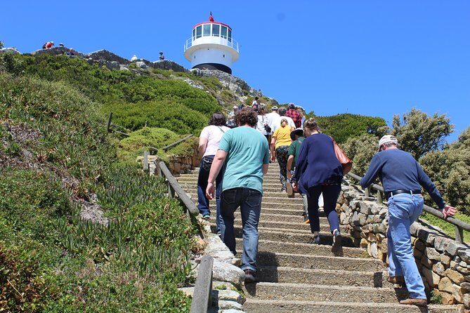 Full-Day Tour to Cape Point and Cape of Good Hope - Stop 3: Chapman’s Peak Drive With 114 Curves