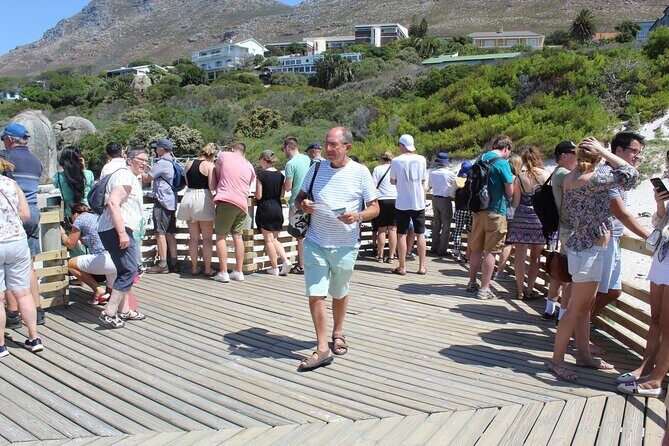 Full-Day Tour to Cape Point and Cape of Good Hope - Stop 6: Boulders Beach Penguins and the Boardwalk Experience
