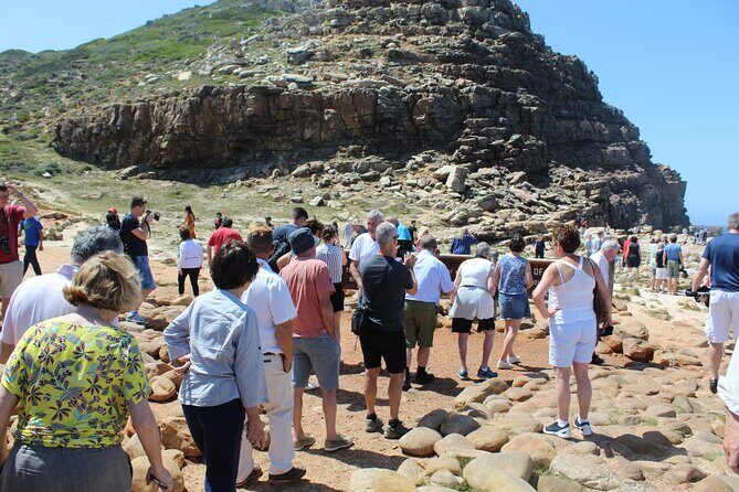Full Day visit to Cape Point Cape of Good Hope for Special needs from Cape Town - Camp’s Bay first: white sand views with a relaxed start