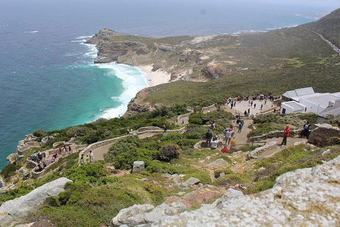 Full Day visit to Cape Point Cape of Good Hope for Special needs from Cape Town - Cape of Good Hope: fynbos, birds, and the closest big-animal moments
