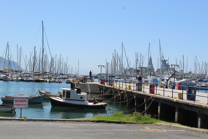 Full Day visit to Cape Point Cape of Good Hope for Special needs from Cape Town - Hout Bay harbor and the included Seal Island boat ride