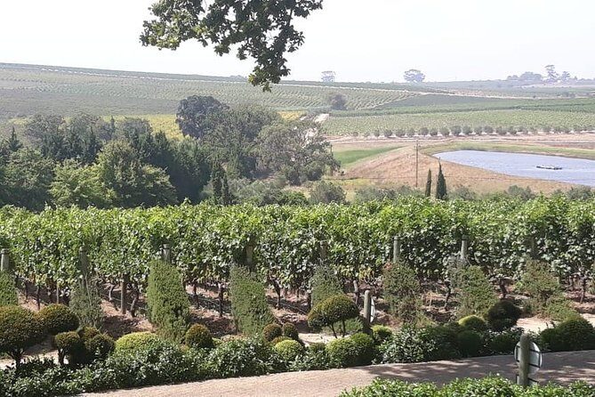 Full Day Wine Tasting in Stellenbosch, Franschoek & Paarl fees included - Stop 2 in Stellenbosch: Delaire Graff Estate for Quick Luxury Time