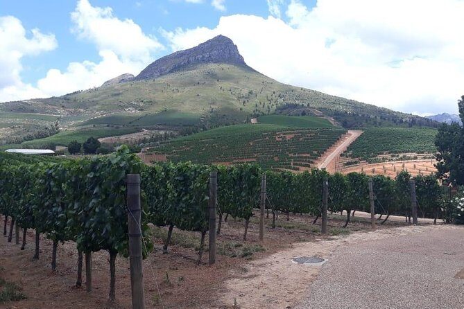 Full Day Wine Tasting in Stellenbosch, Franschoek & Paarl fees included - Stop 3 in Franschhoek: Mont Rochelle, the 150-Year Cellar, and Sir Richard Branson’s Connection