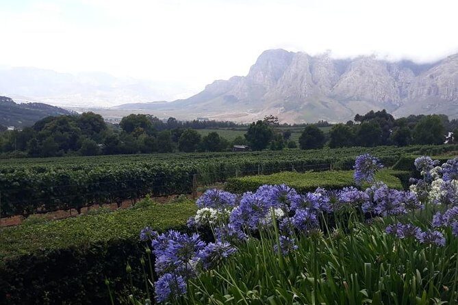Full Day Wine Tasting in Stellenbosch, Franschoek & Paarl fees included - How to Tame the Day So You Enjoy Every Stop