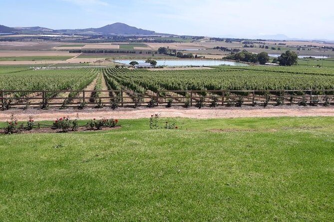 Full Day Wine Tasting in Stellenbosch, Franschoek & Paarl fees included - Price and the Real Cost of Tastings