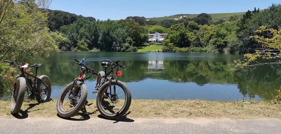 Full-Day Winelands E-Bike Tour with Wine Tasting & Lunch - Wine tasting value: learning without the pressure