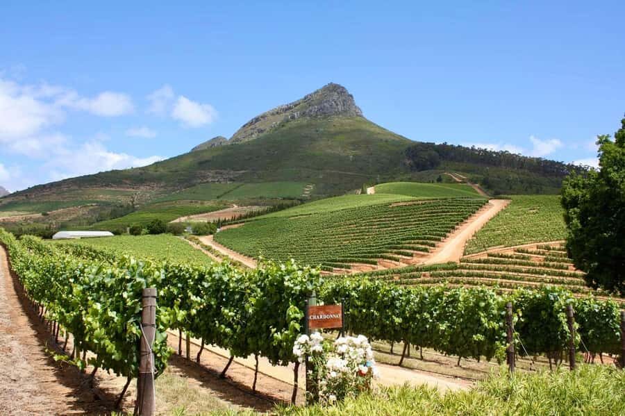 Full-Day Winelands E-Bike Tour with Wine Tasting & Lunch - E-bike through the vineyards: hills, trails, and how much effort you really do