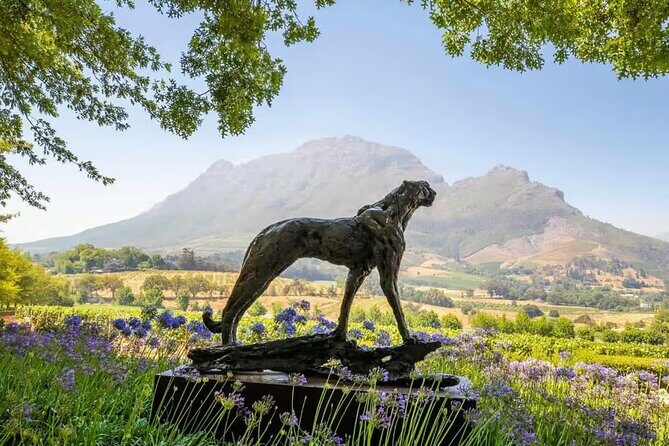 Full Day Winelands Tour With Wine Tasting from Cape Town - Key things I’d focus on before you go