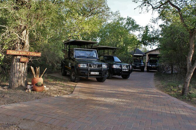 Fullday Gamedrives in Kruger National Park from Marlothpark - Open Safari Vehicle: how you’ll actually see more animals