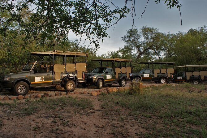 Fullday Gamedrives in Kruger National Park from Marlothpark - The 5:00 am start: what the schedule feels like
