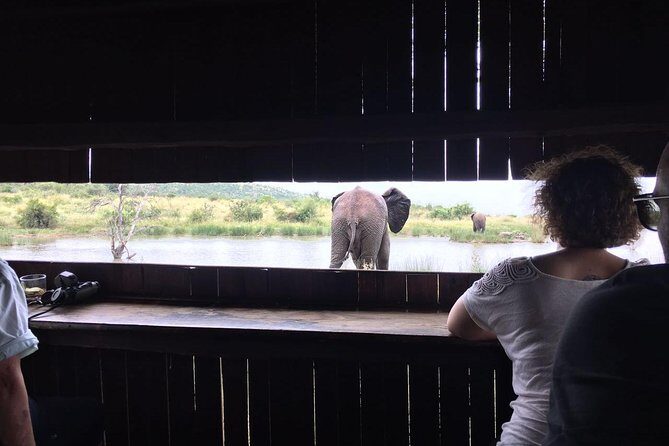 Fully inclusive Pilanesberg safari from Johannesburg - Lunch and bottled water: small inclusions that matter