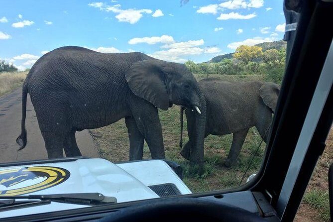 Fully inclusive Pilanesberg safari from Johannesburg - Price ($230.87) and value: what you’re paying for